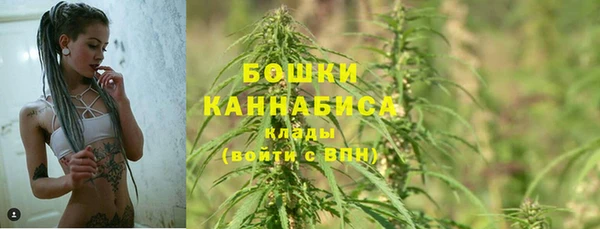 первитин Дмитриев