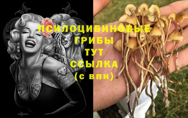 первитин Дмитриев