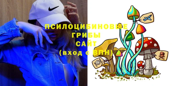 первитин Дмитриев