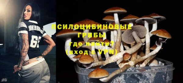 первитин Дмитриев