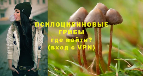 MDMA Premium VHQ Дмитровск