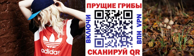 Галлюциногенные грибы MAGIC MUSHROOMS купить закладку shop Telegram Дзержинский