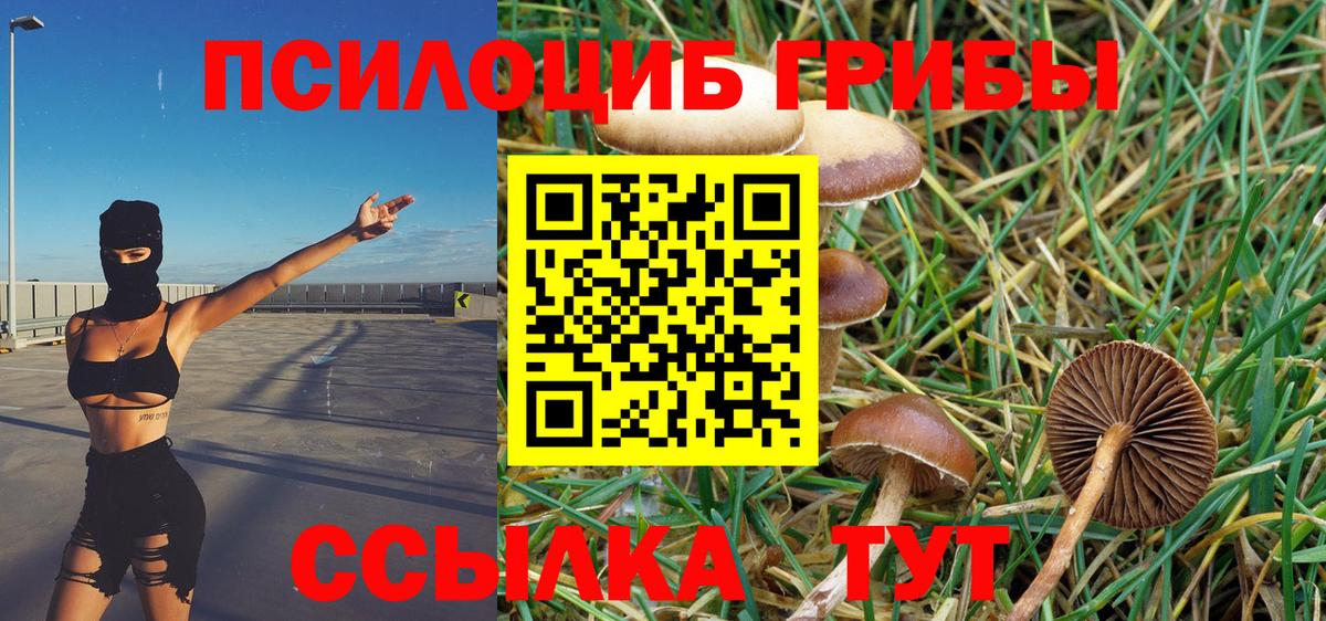 Галлюциногенные грибы мухоморы Дзержинский