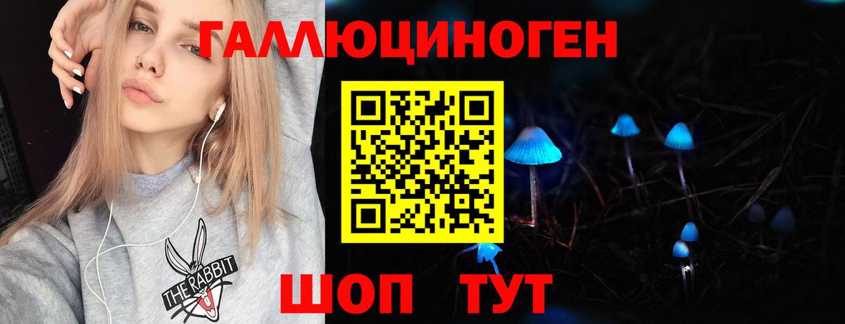 Псилоцибиновые грибы GOLDEN TEACHER  Вход с VPN  Галлюциногенные грибы Magic Shrooms  Дзержинский 